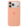 iPhone Silicone Case (Begonia)