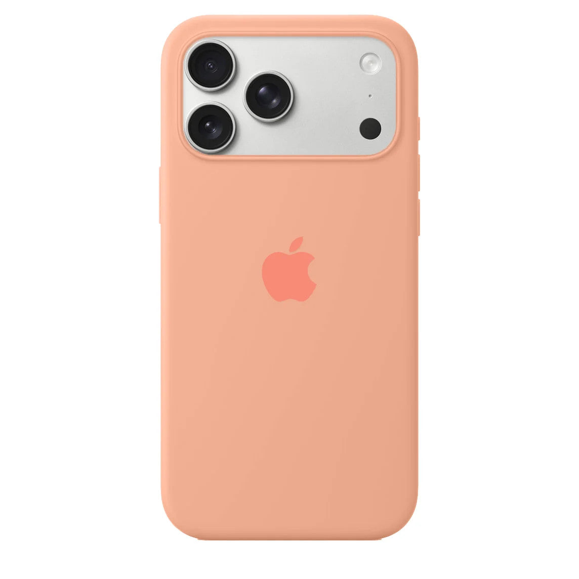 iPhone Silicone Case (Begonia)